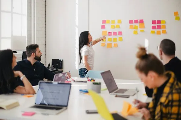 Cursos de Negócios e Gestão